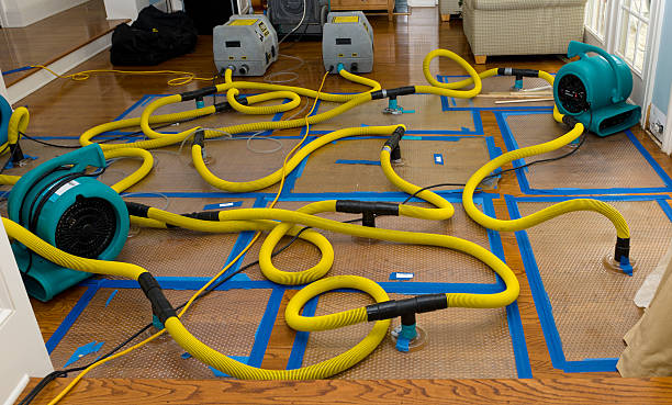 Professional Crawl Space Water Removal technician working in Otisville, MI